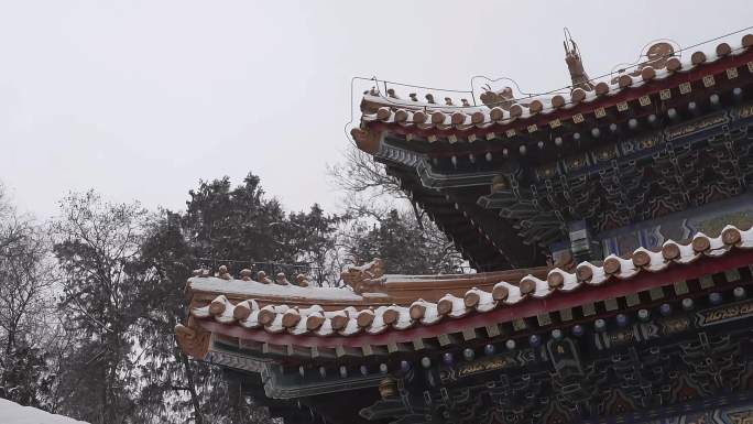 北京颐和园公园下雪美景水墨画景色74