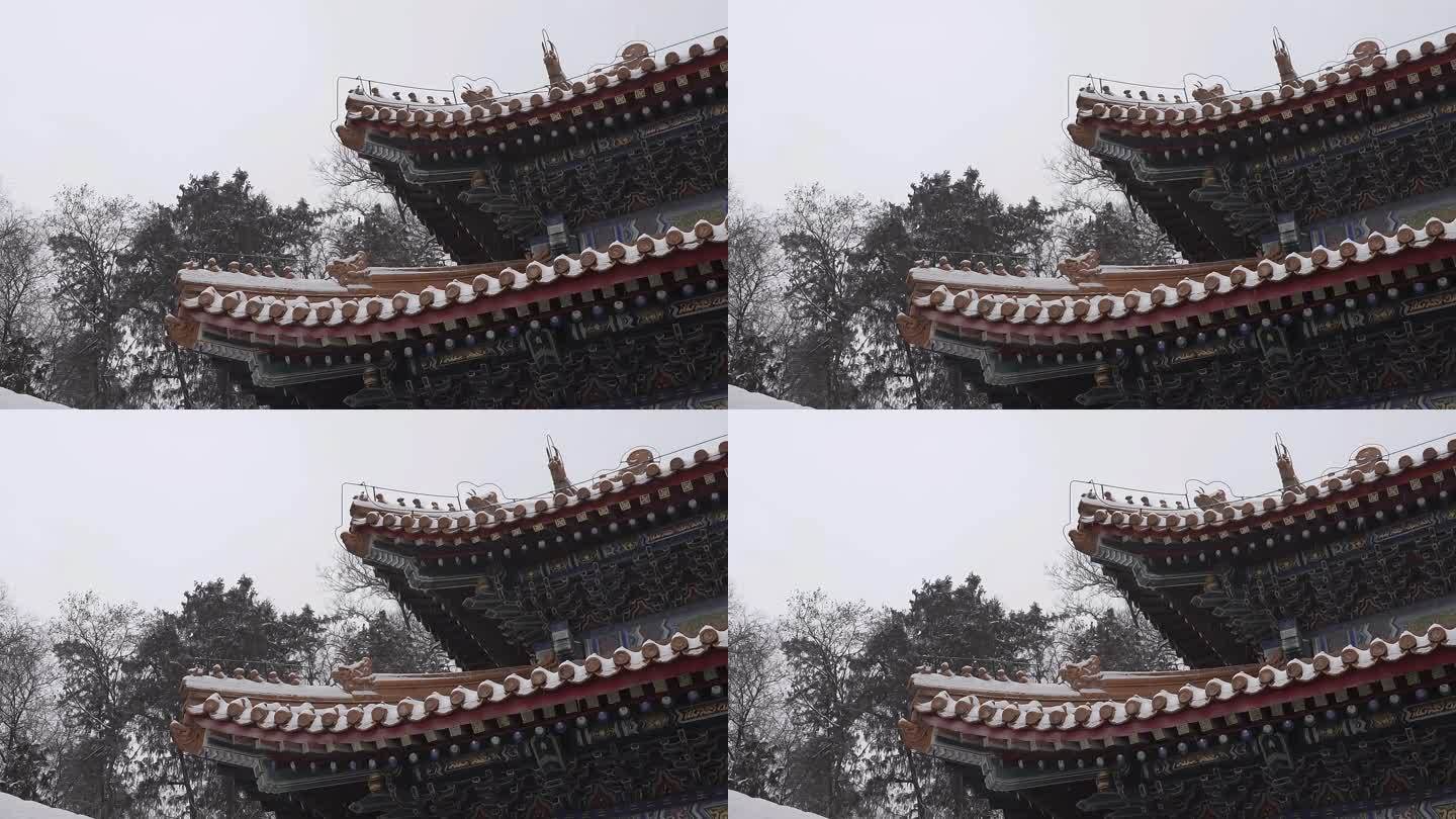 北京颐和园公园下雪美景水墨画景色74
