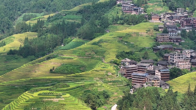 梯田航拍