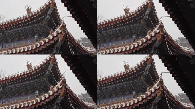 北京颐和园公园下雪美景水墨画景色71