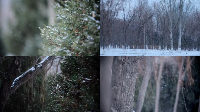 降温降雪小雪-雪景积雪-意境雪花飘落