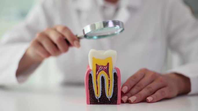 牙医用放大镜检查口腔和牙齿