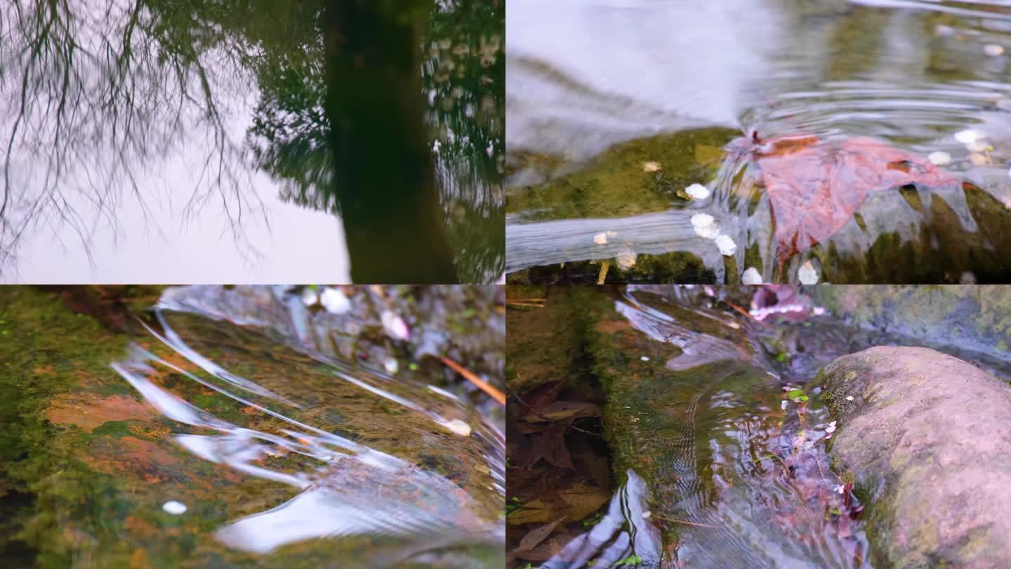 城市公园小溪流水倒影特写风景视频素材