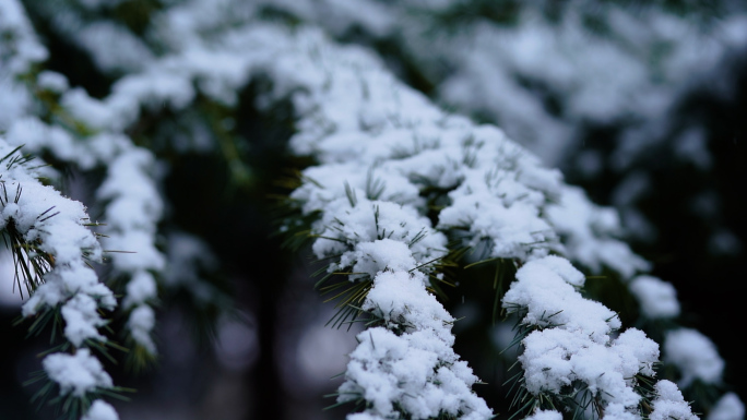 下雪升格唯美素材 美女雪中漫步唯美空镜