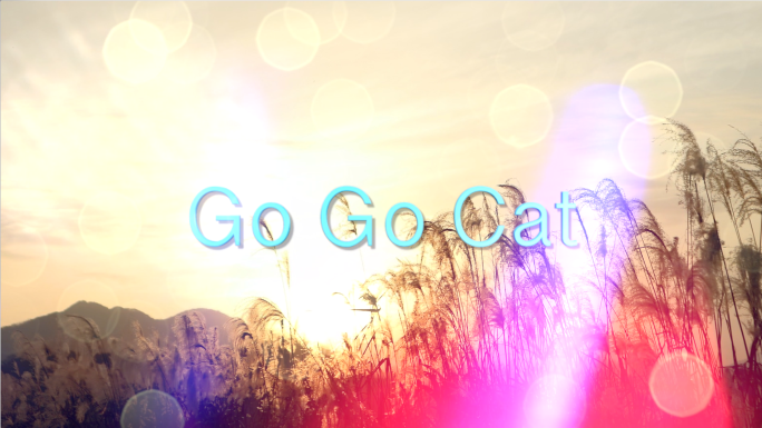 Go Go Cat伴奏音乐视频背景
