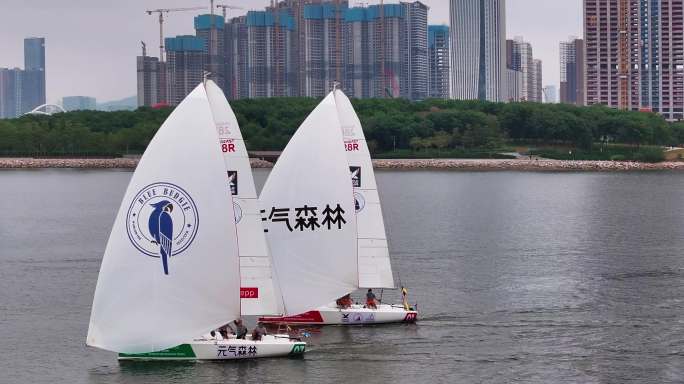 世界帆船对抗巡回赛深圳宝安世界湾区帆船赛