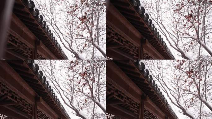 中式园林冬天下雪风景