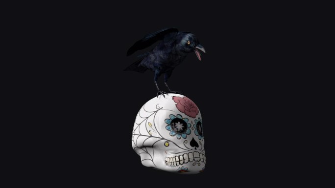 黑鸟和糖骷髅-侧面视图CU - Alpha通道