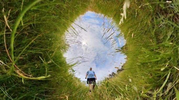 人们在冬天、春天、夏天和秋天穿过森林