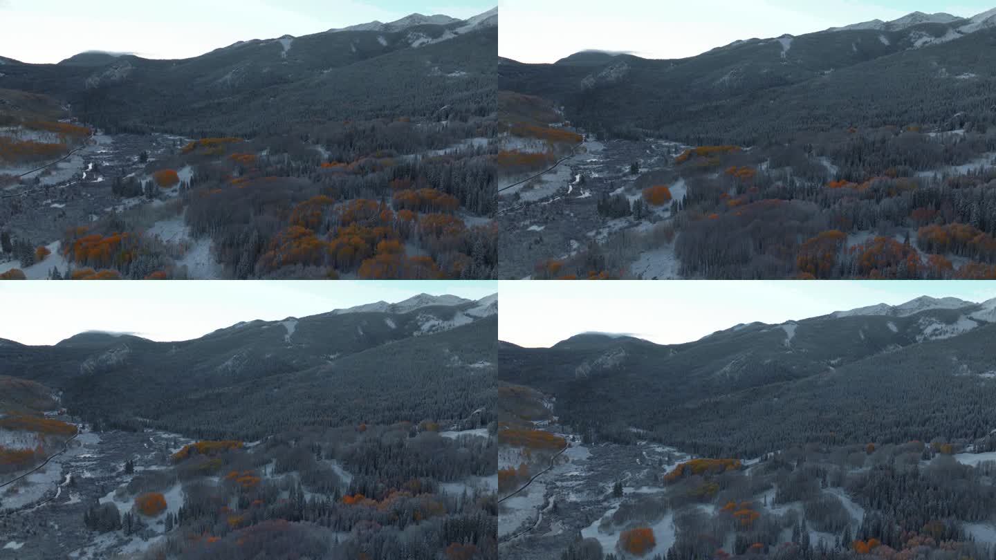 霜脆冷冻冻的早晨遮阴的科伯勒山口科罗拉多州航拍电影无人机秋天冬天碰撞第一白雪红黄橙白杨树森林向前遮阴