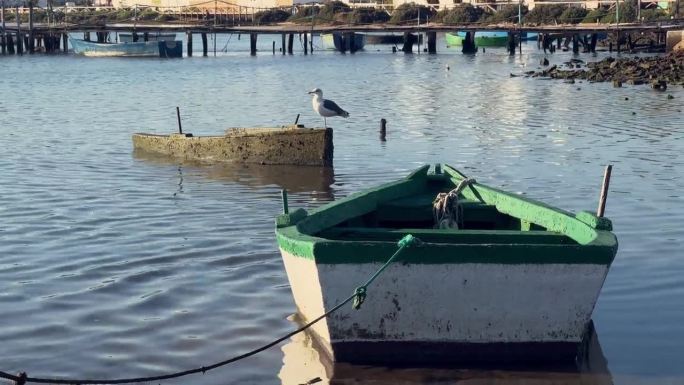 沿海的景色，一只孤独的海鸥站在旧渔船上。低角度的阳光沐浴着周围的环境，在水面和饱经风霜的船只上投射出