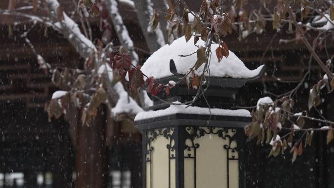 中式园林冬天下雪风景