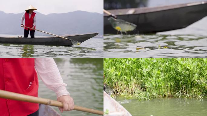 生态保护志愿者内湖水草垃圾打捞2