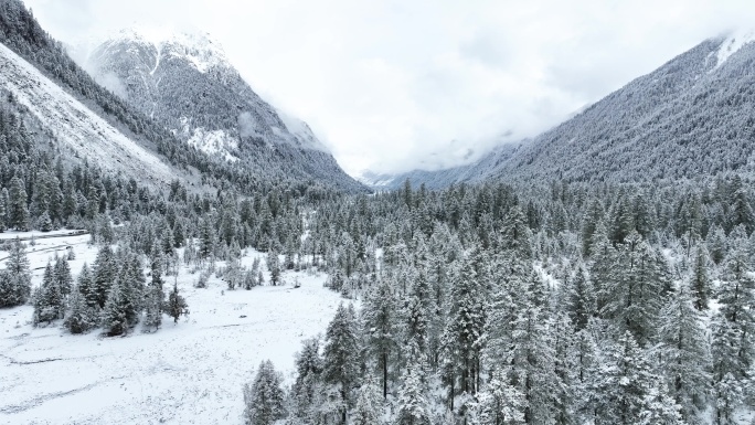 西藏巴松措景区雪山森林雪地林海雪原风光