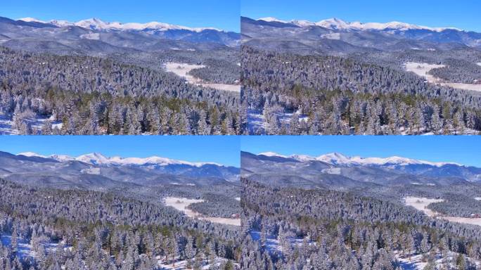 圣诞第一场雪常青三姐妹前Range丹佛山蓝天埃文斯航拍电影无人机清脆寒冷的早晨美丽的蓝天霜松树向后平