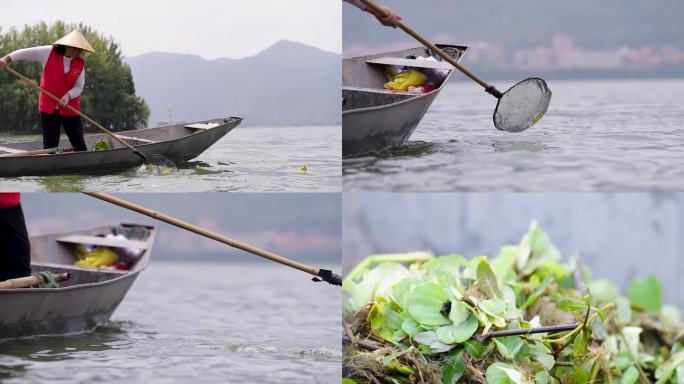 生态保护志愿者内湖水草垃圾打捞