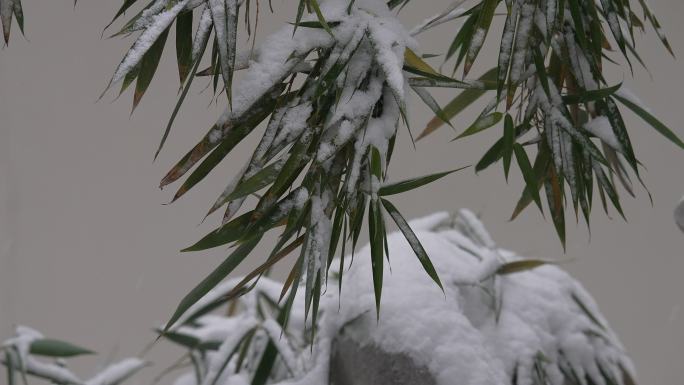 冬天下雪风景