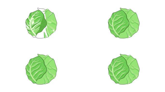 动画形成一个卷心菜蔬菜图标
