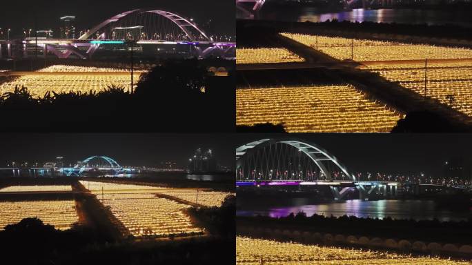 广州南沙凤凰三桥火龙果林夜景航拍4K视频