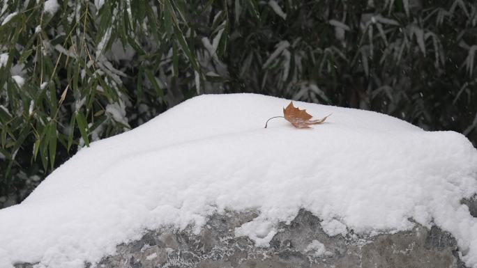 冬天下雪风景