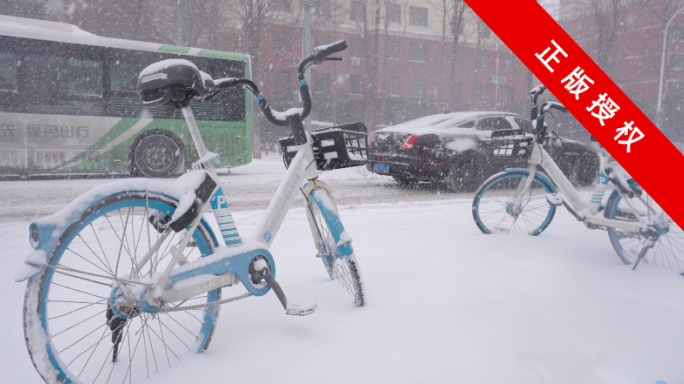 暴雪中的共享单车4K