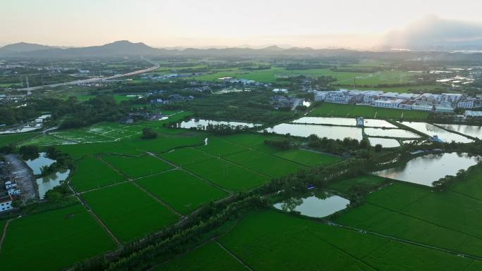 中国侨乡广东台山乡村稻田山脉山峰日出航拍