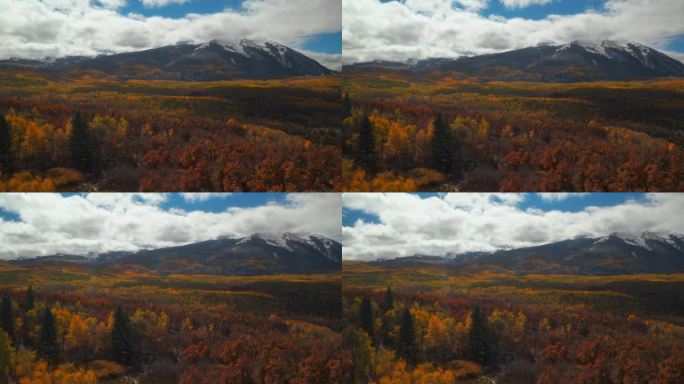 科伯勒山口科罗拉多州电影霜冻脆冷冻结的早晨秋天冬季碰撞第一次白色的雪红黄橙白杨树森林云蓝天落基山的山