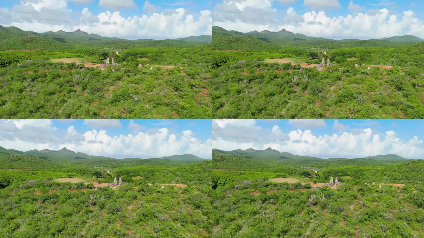 中午时分，无人机在霍菲芒果库拉索岛的上帝之手雕塑周围视差