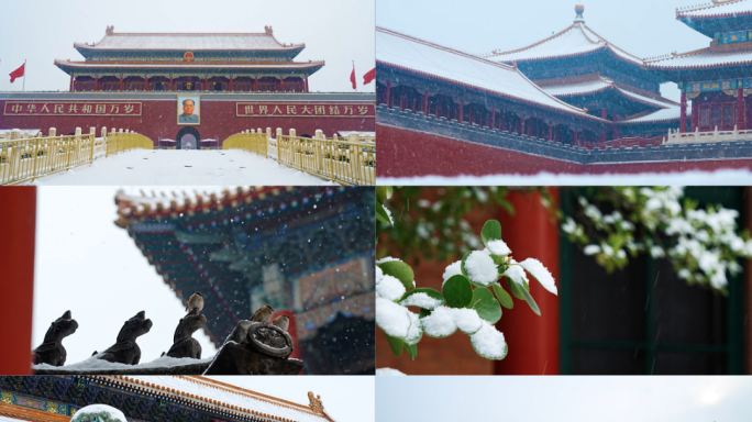 北京第一场雪 故宫雪景 北京雪景 初雪