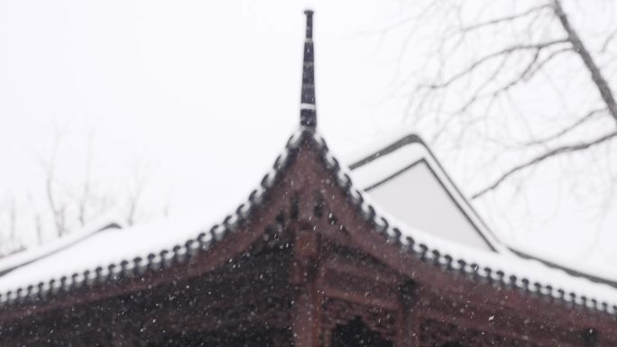 中式园林冬天下雪风景