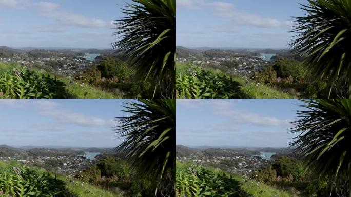罗素半岛的海岸美景，郁郁葱葱的绿色灌木与蓝湾水域在Flagstaff Hill了望，岛屿湾，新西兰