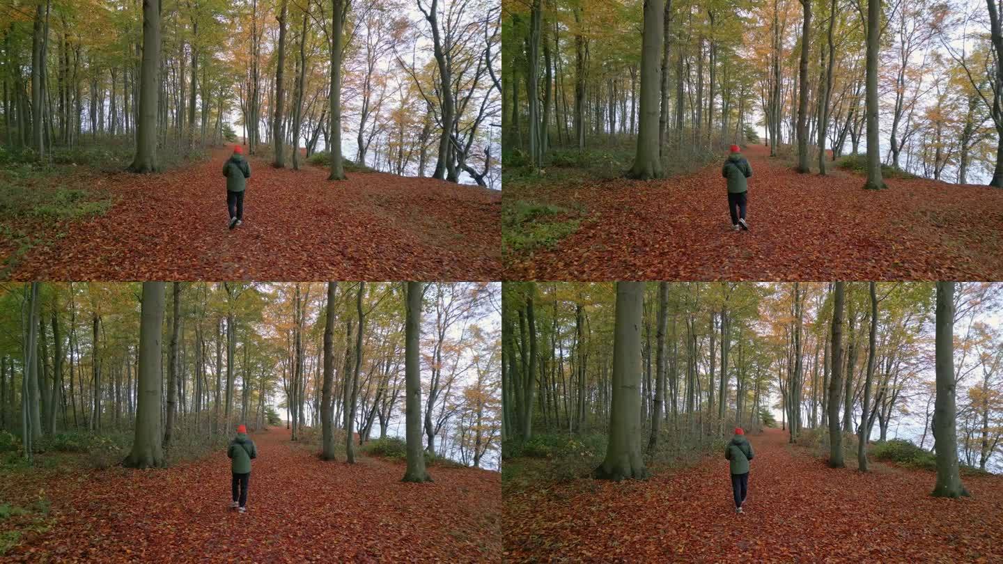 一个人独自走过秋林。橙色系树。