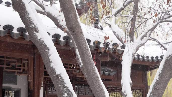 中式庭院雪景下雪