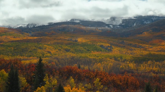 科伯勒山口科罗拉多州电影霜冻脆冷冻结的早晨秋天冬季碰撞第一次白色的雪红黄橙白杨树森林云蓝天落基山高峰