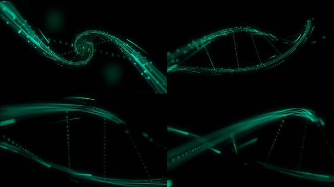 DNA动画视频