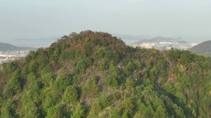 舟山 南洞 群岛 乡村振兴 海岛 农村