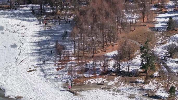 四川阿坝毕棚沟景区四姑娘山冬季雪景航拍