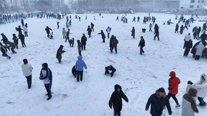 学校里的孩子们在操场上快乐的打雪仗
