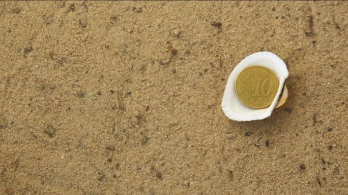 一枚10分硬币躺在沙质海床的贝壳里