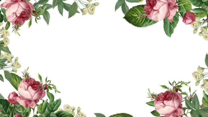 优雅的花卉动画在一个白色的屏幕背景与手绘的叶子和花