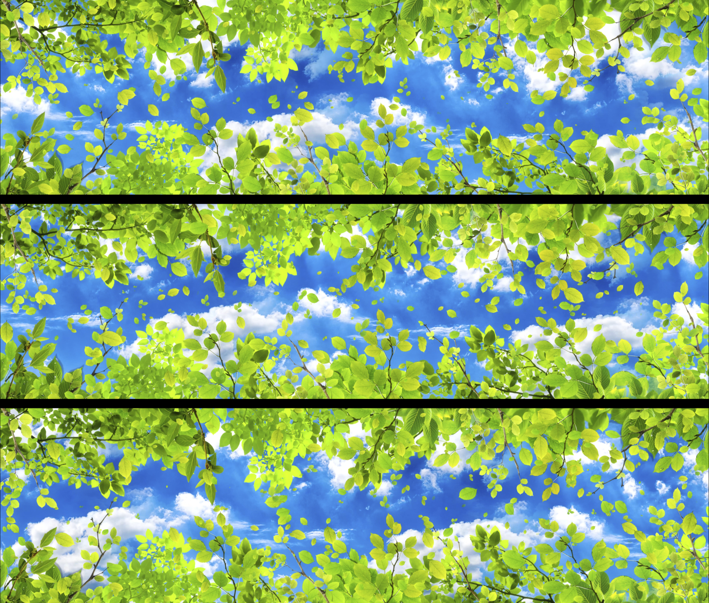 8k绿色春天树叶天幕投影