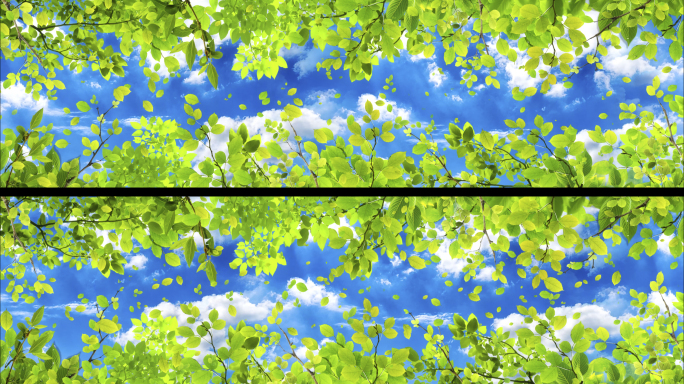 8k绿色春天树叶天幕投影