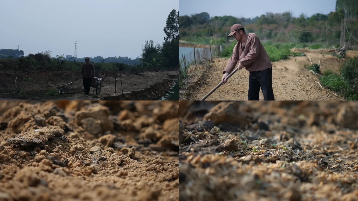 挖土的农民种植