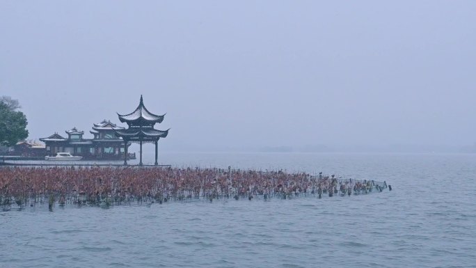 杭州西湖集贤亭雪景