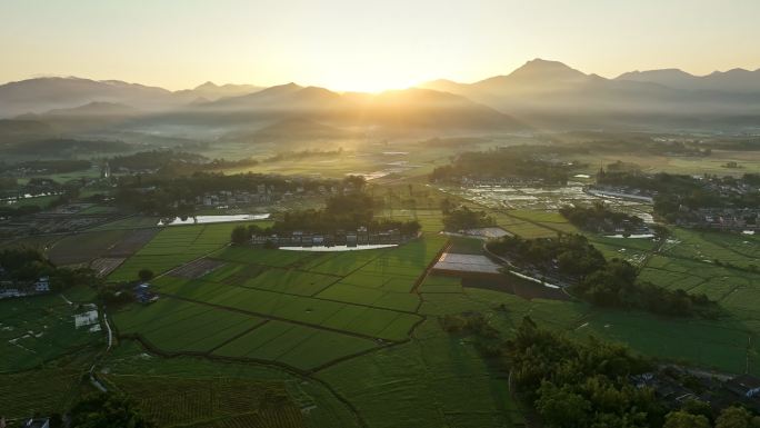 中国侨乡广东台山乡村稻田山脉山峰日出航拍