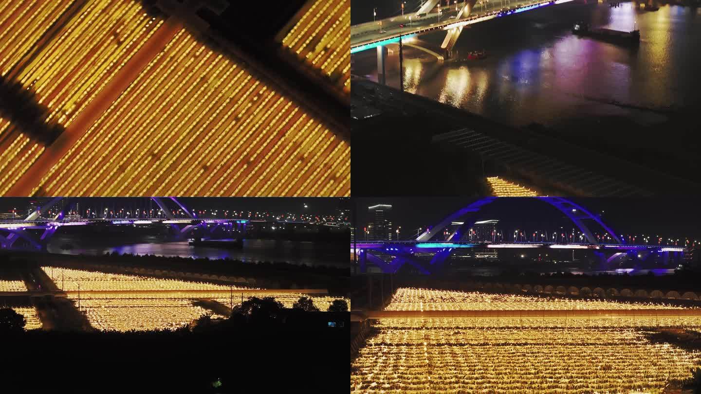 广州南沙凤凰三桥火龙果林夜景航拍4K视频