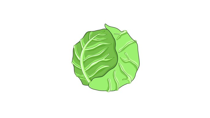 卷心菜蔬菜图标的动画视频