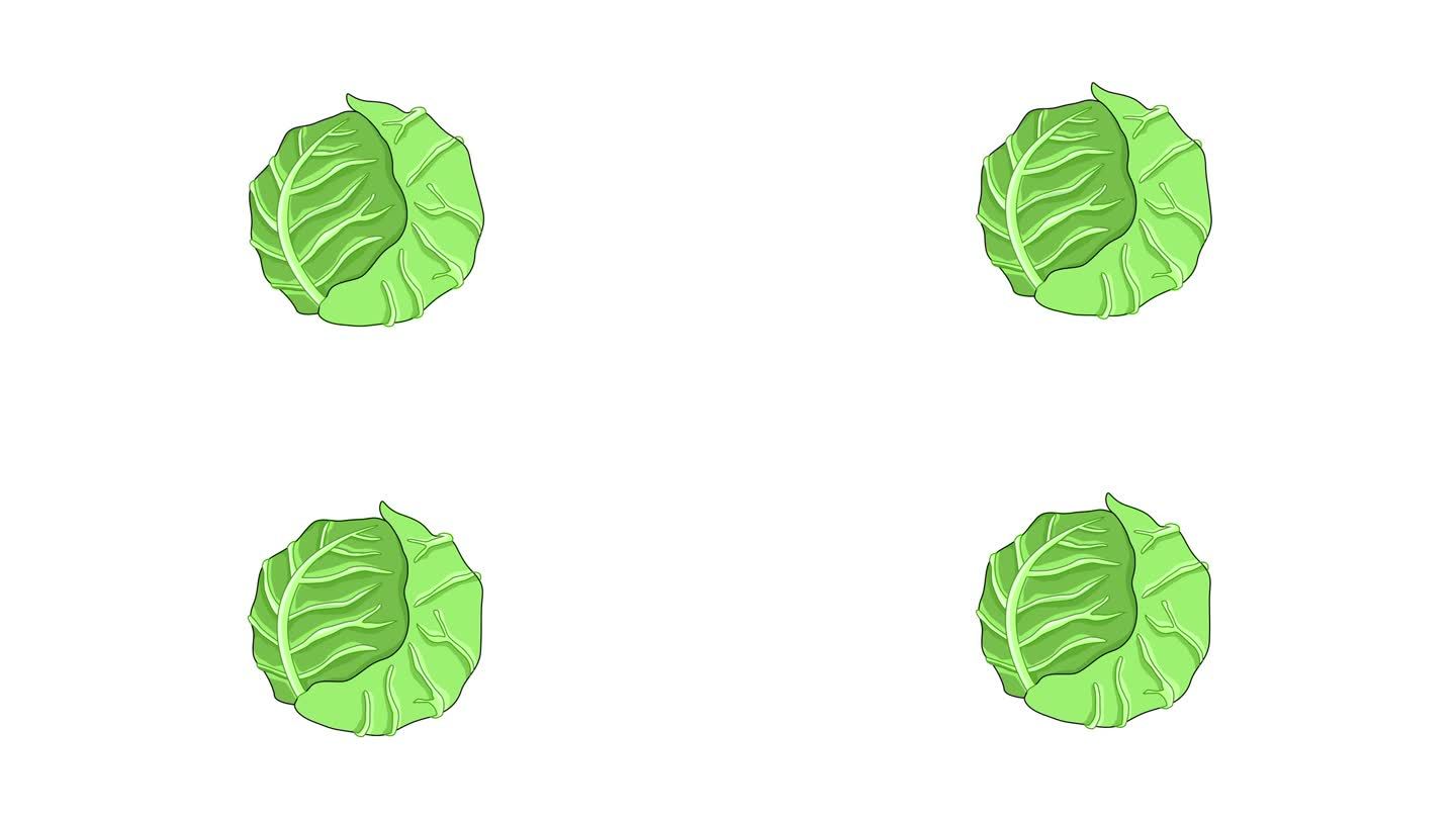 卷心菜蔬菜图标的动画视频