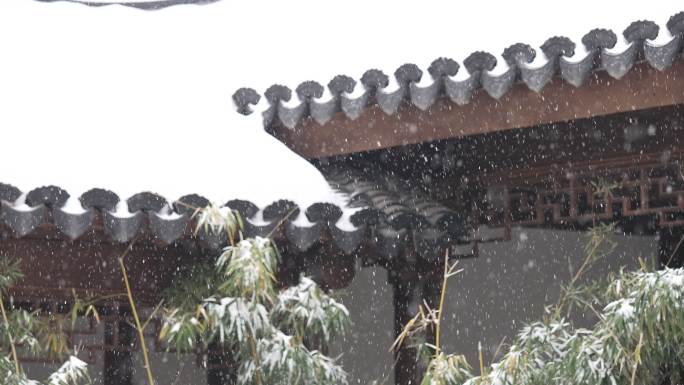 中式园林冬天下雪风景