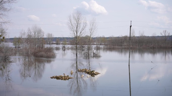 春天的洪水淹没了农田